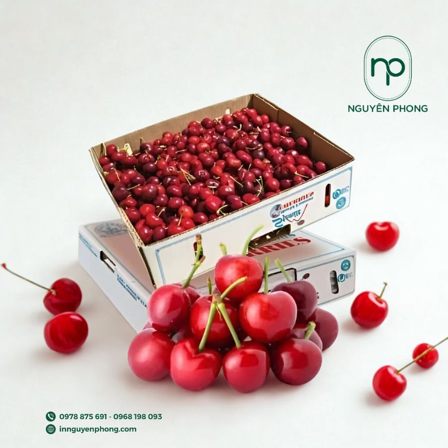 in-hop-giay-dung-cherry-gia-re-tai-ha-noi